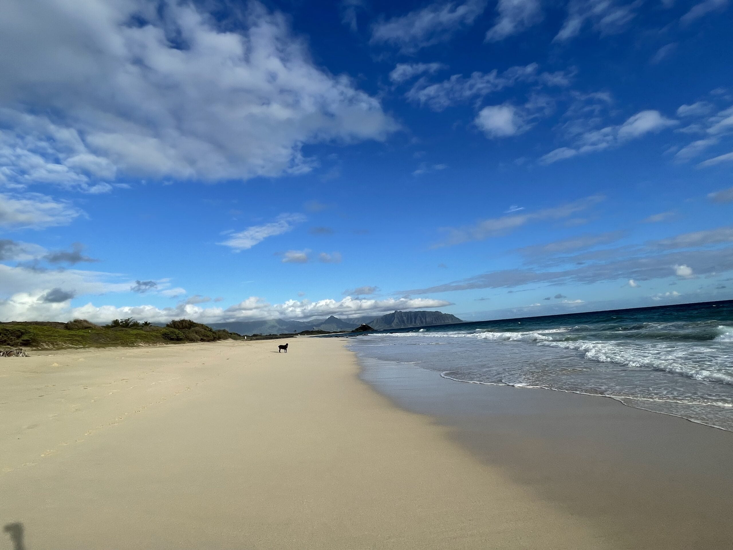 Instantly Boost your Mental Health by Taking a Vacation